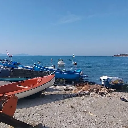 Lejlighed Specious Near Beautiful